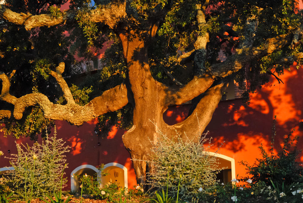 Giardino Dei Sugheri Scarlino Bagian luar foto